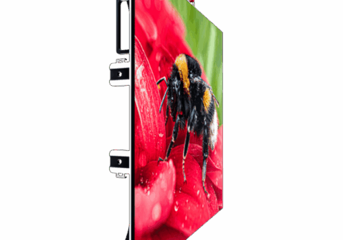 2021 06 0952 2 1000x1000 700x700