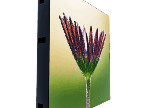 2021 06 1078 1 1000x1000 700x700