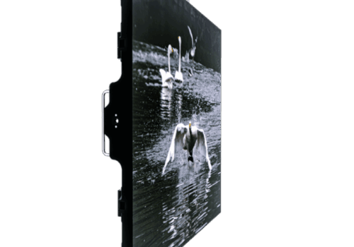 2021 06 1093 1000x1000 700x700