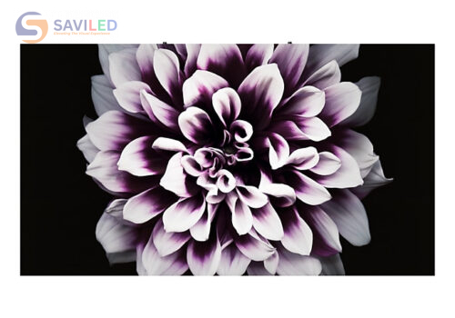 vn smart led signage the wall iw008j lh008iwjmws ch frontsilver 173526798684 547 JPG