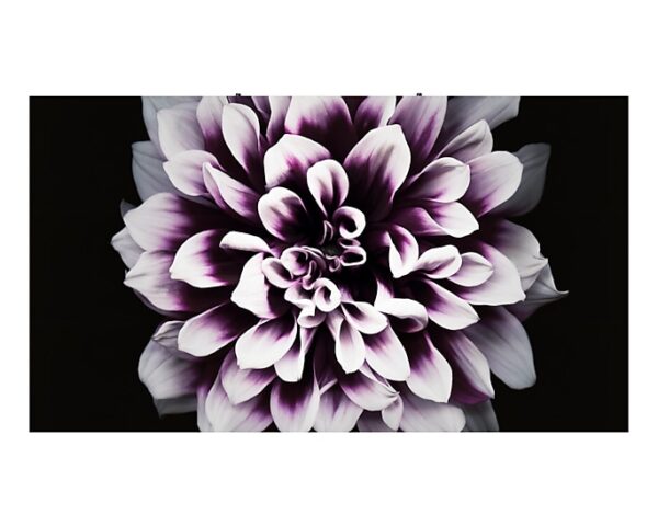 vn smart led signage the wall iw016j lh016iwjmws en frontsilver 260753796684 547 JPG