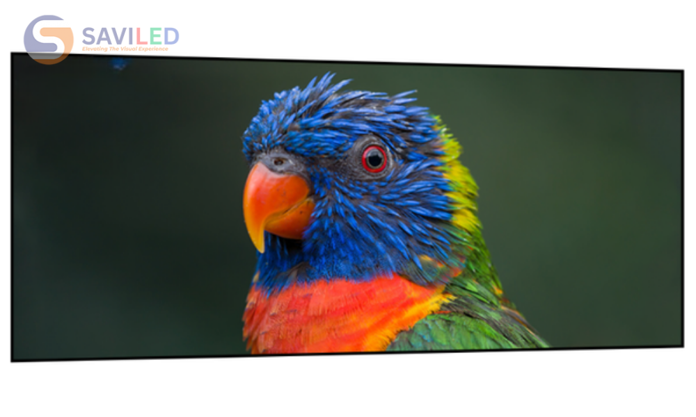 Hiệu chỉnh gam màu trên bộ xử lý LED Colorlight X4m X2m